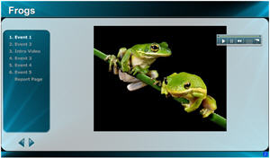 Image of a configured Presenter interaction.